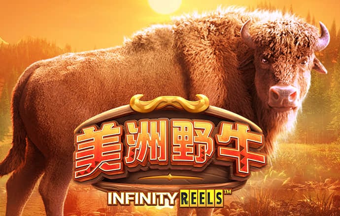 c7下载官网